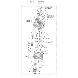 MEMBRANE