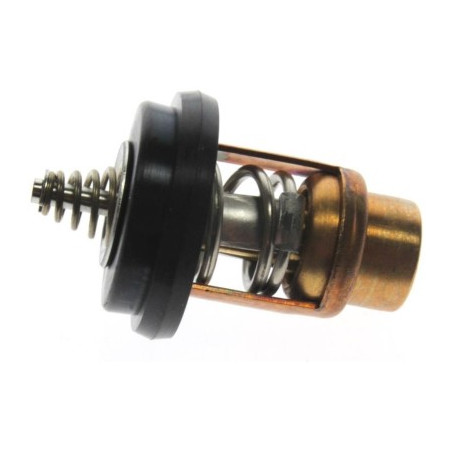 THERMOSTAT MFS 40A/50A