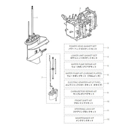 LEVIER DIRECT COMPLET MFS6BZ/8B/9.8B
