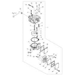 DIAPHRAGM B