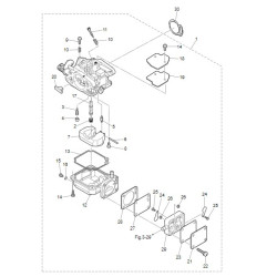CARBURATEUR M9.9D2 M15D2
