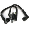 BOBINE D'ALLUMAGE AVEC R-CAP