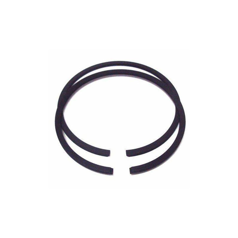 SEGMENTS