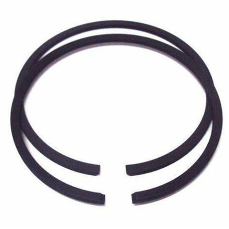 SEGMENTS