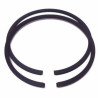 SEGMENTS
