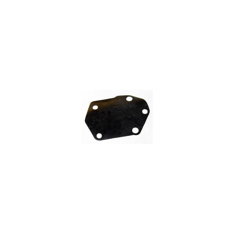 DIAPHRAGME DE POMPE