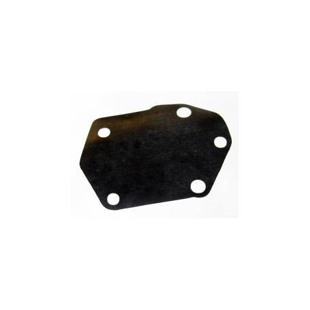 DIAPHRAGME DE POMPE