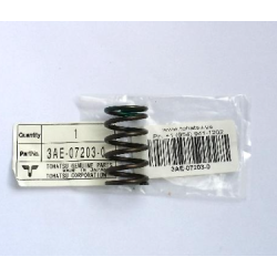 VALVE SPRING