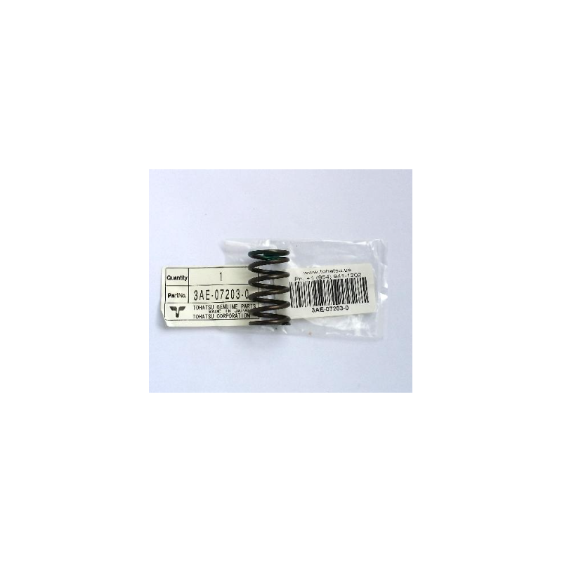 VALVE SPRING