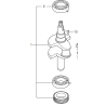 CRANKSHAFT ASSY W/GEAR