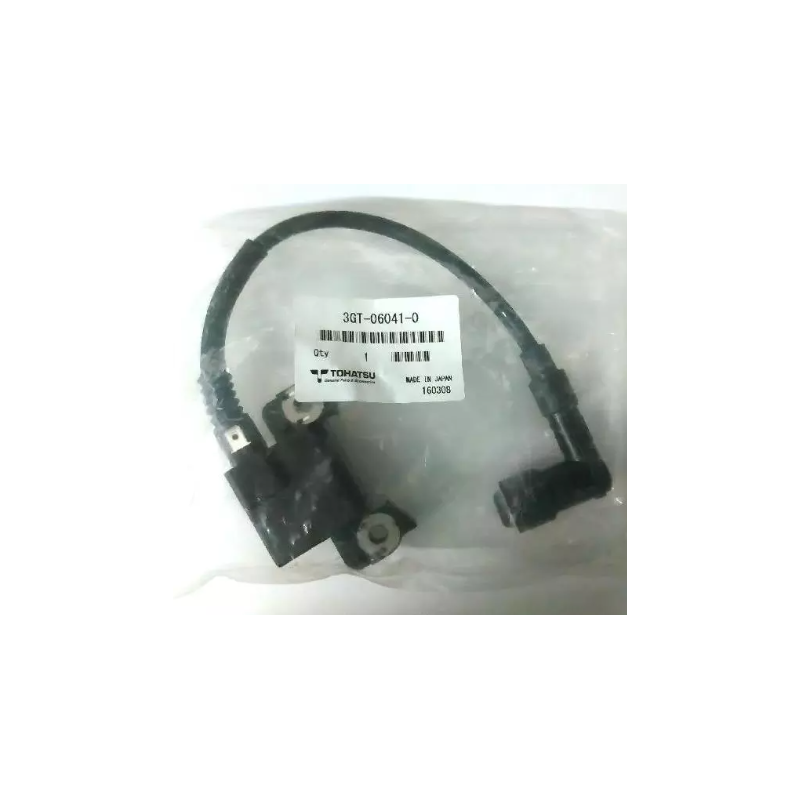 MODULE D ALLUMAGE