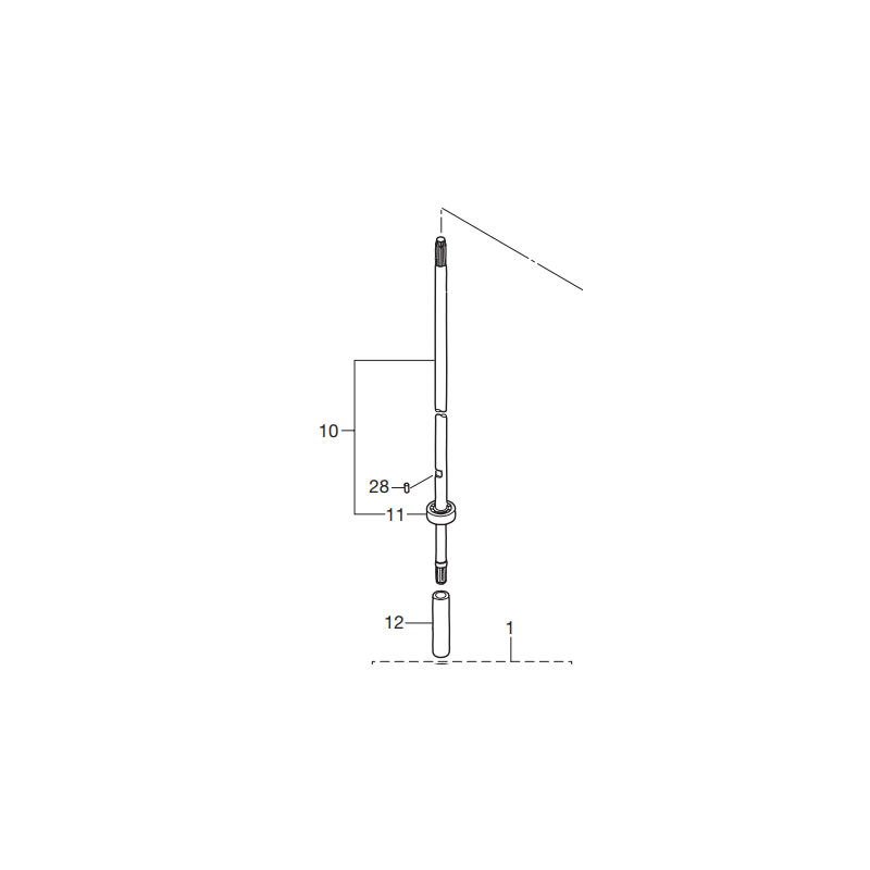 ARBRE LONG