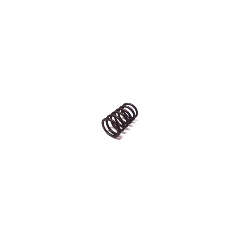 VALVE SPRING