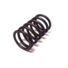 VALVE SPRING