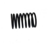 ROCKER SHAFT SPRING